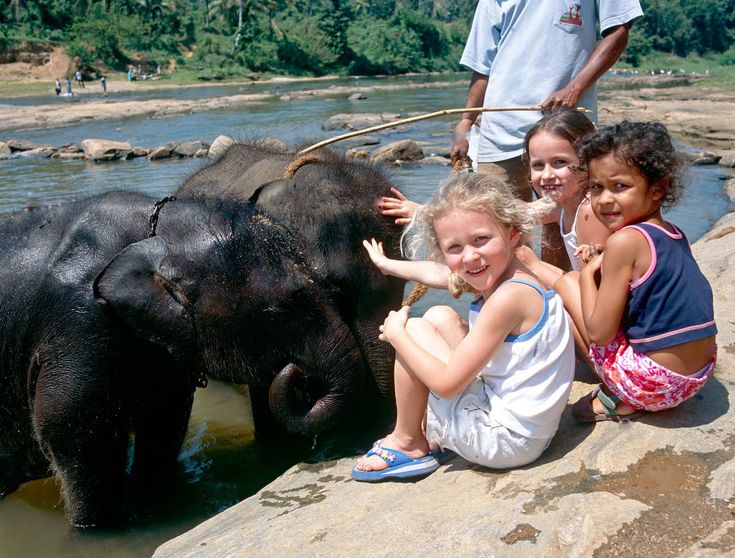 Pinnawala Elephant Orphanage: